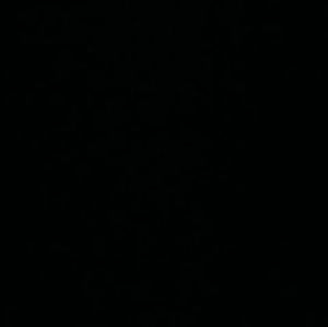 Meet your Posher, Randy